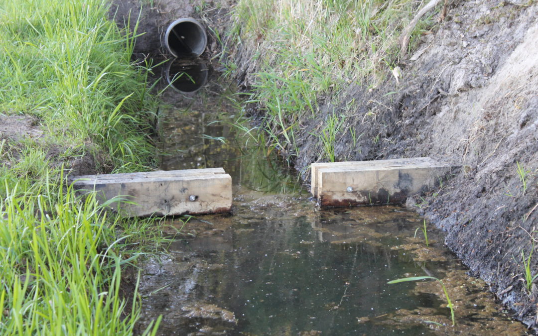 Landschappelijke impuls Chaamse Beek Cauwelaer